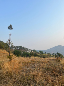  Agricultural Land for Sale in Hawalbagh, Almora