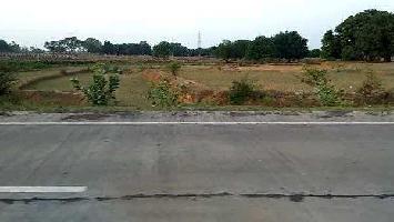  Commercial Land for Sale in Bijuri, Anuppur
