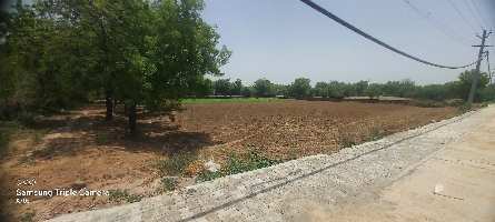  Agricultural Land for Rent in Sohna Road, Gurgaon