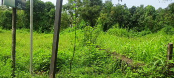  Residential Plot for Sale in Nagaon, Alibag, Raigad