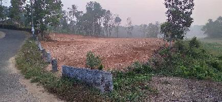  Residential Plot for Sale in Mallappally, Pathanamthitta
