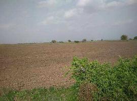  Commercial Land for Sale in Sanand, Ahmedabad