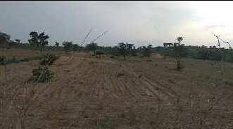 Agricultural Land for Sale in Pachpadra, Barmer