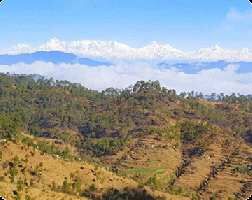  Guest House for Sale in Lamgara, Almora