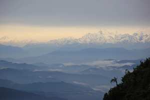  Residential Plot for Sale in Kausani, Almora
