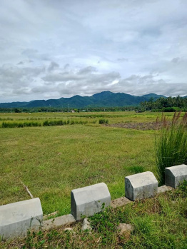  Agricultural Land for Sale in Kaladhungi Road, Nainital