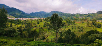  Agricultural Land for Sale in Lamachaur, Nainital