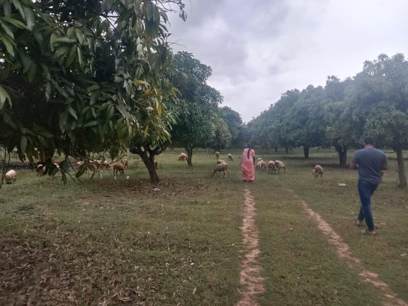 GT Road, Karnal photo 5
