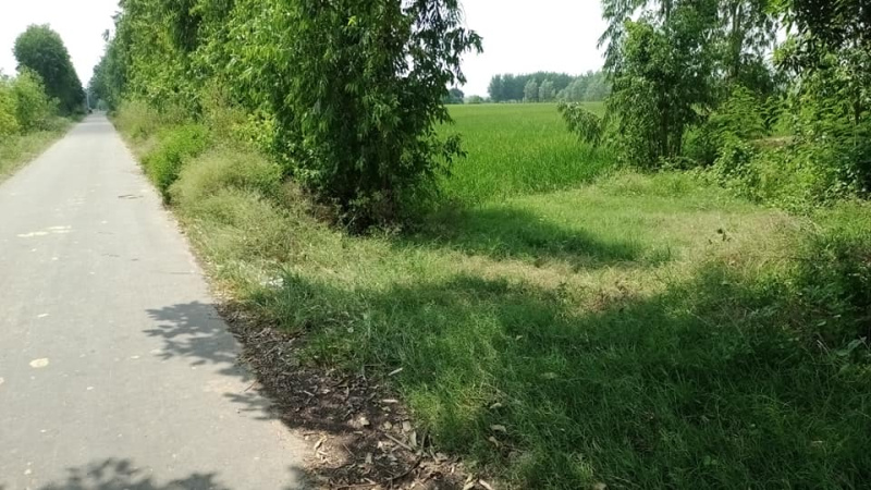 GT Road, Karnal photo 3