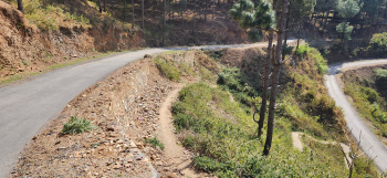  Agricultural Land for Sale in Kathgodam Highway, Nainital