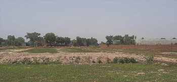  Residential Plot for Sale in Pari Chowk, Greater Noida