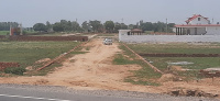  Residential Plot for Sale in Noida Extension, Greater Noida
