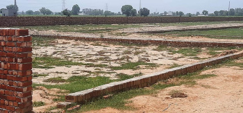 Residential Plot for Sale in Gautam Budh Nagar, Greater Noida