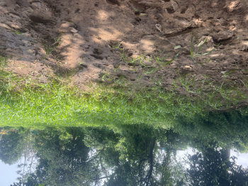  Agricultural Land for Sale in Petlad, Anand