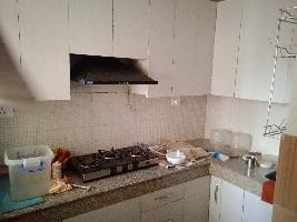 1 BHK Flat for Rent in Greater Noida West