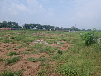  Industrial Land for Sale in Baddi, Solan