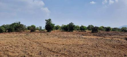  Agricultural Land for Sale in Satara Road, Mahabaleshwar