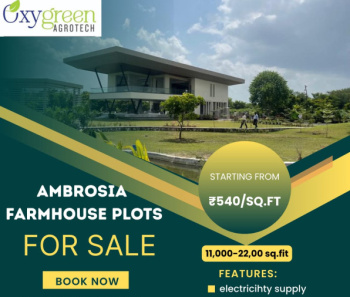  Agricultural Land for Sale in Beltarodi, Nagpur