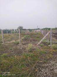  Agricultural Land for Sale in Nandikotkur Road, Kurnool