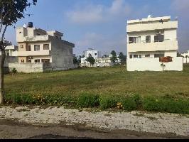 Residential Plot for Sale in Pangoli Chowk, Pathankot