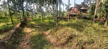  Commercial Land for Sale in Thalassery, Kannur