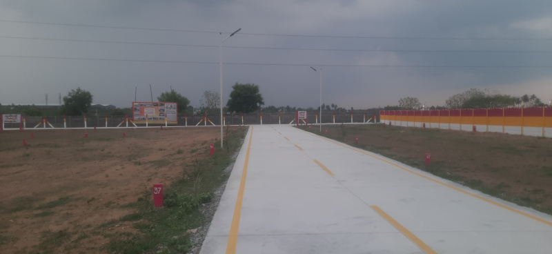  Residential Plot 1200 Sq.ft. for Sale in Panjapur, Tiruchirappalli