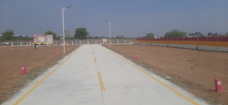  Residential Plot 1200 Sq.ft. for Sale in Panjapur, Tiruchirappalli