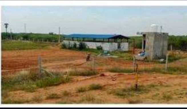  Agricultural Land 174240 Sq.ft. for Rent in Tiruchuli, Virudhunagar