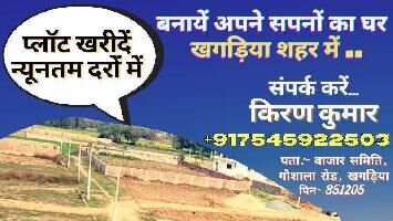  Residential Plot for Sale in Sanhouli, Khagaria