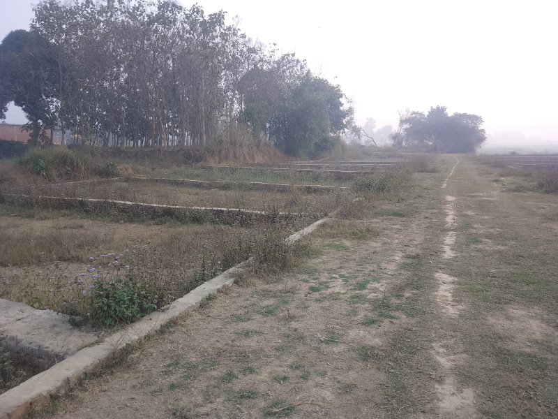  1000 Sq.ft. Residential Plot for Sale in Karjaha, Gorakhpur