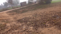 Residential Plot for Sale in Rudrapur, Deoria