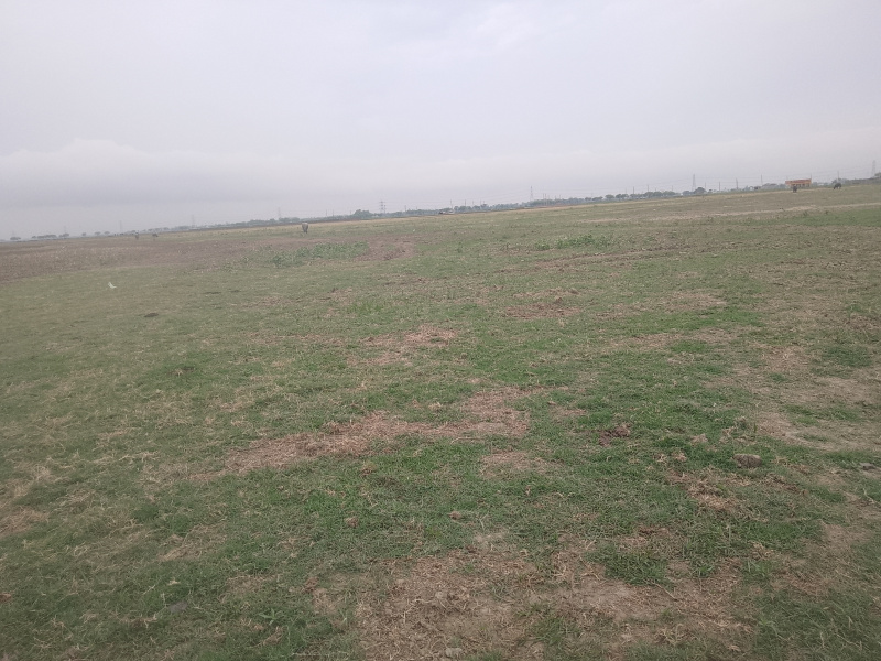  Residential Plot 872 Sq.ft. for Sale in Majhauli Raj, Deoria