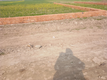  Residential Plot for Sale in Tal Kandala, Gorakhpur