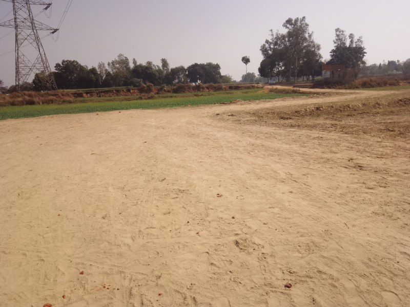  Residential Plot 1000 Sq.ft. for Sale in Motiram Adda, Gorakhpur