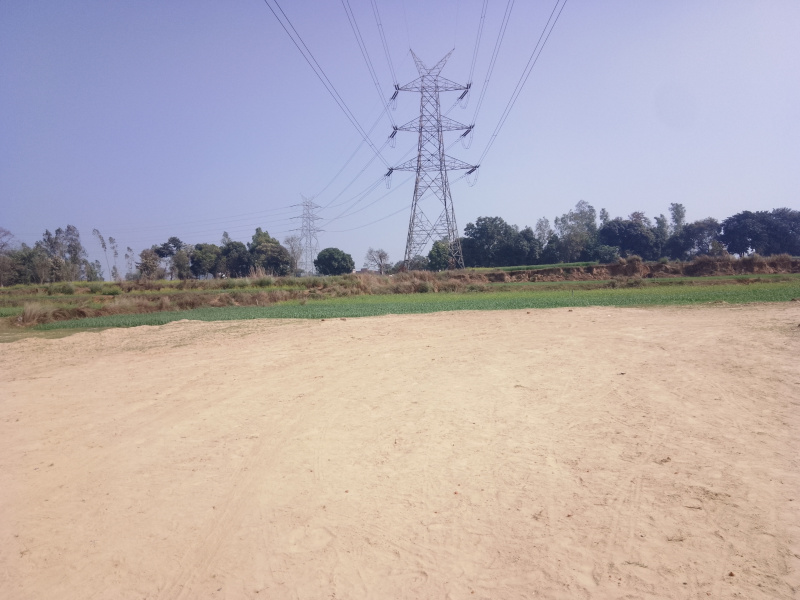  Residential Plot 1000 Sq.ft. for Sale in Motiram Adda, Gorakhpur