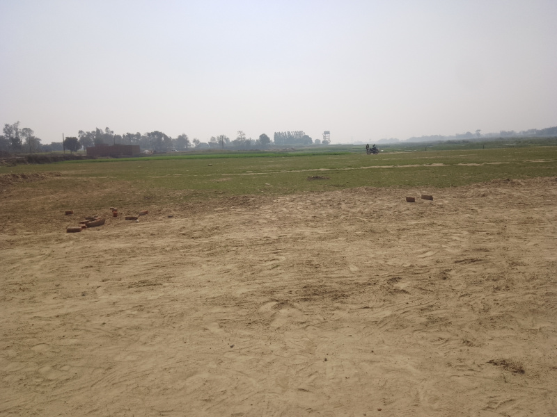  Residential Plot 1200 Sq.ft. for Sale in Motiram Adda, Gorakhpur