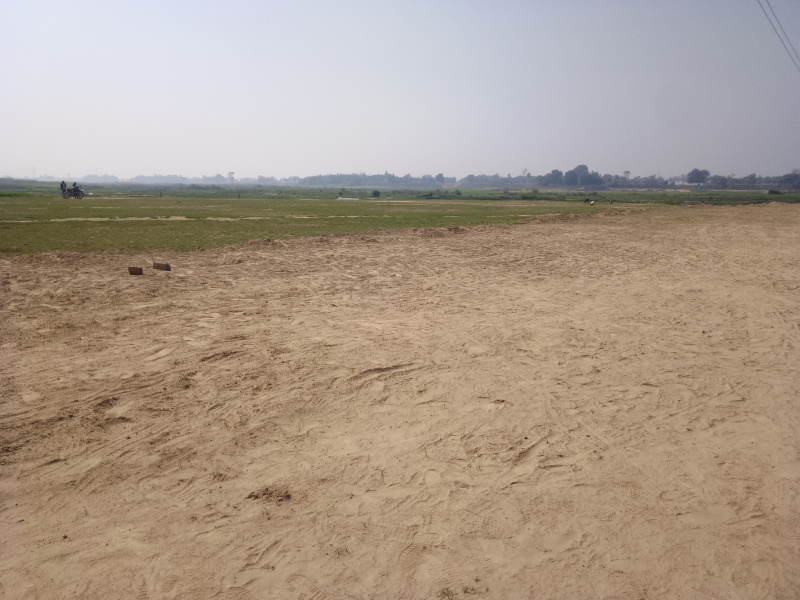  Residential Plot 1200 Sq.ft. for Sale in Motiram Adda, Gorakhpur