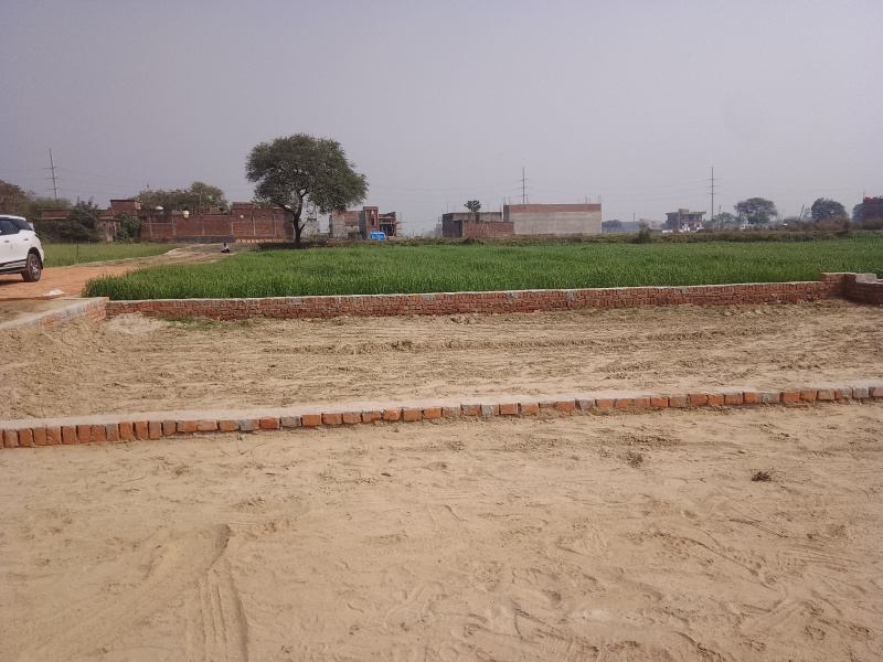  1000 Sq.ft. Residential Plot for Sale in Bazar, Gorakhpur