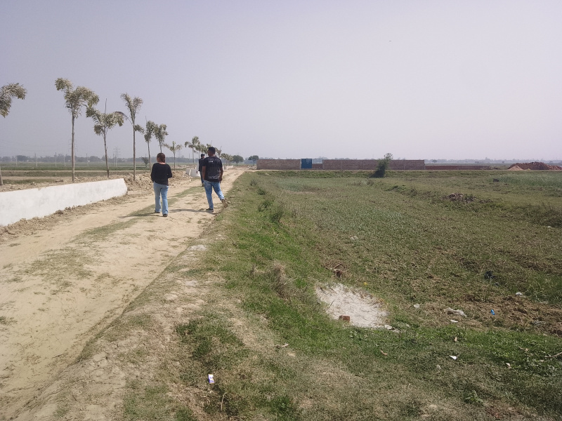  Residential Plot 1000 Sq.ft. for Sale in Mohaddipur, Gorakhpur