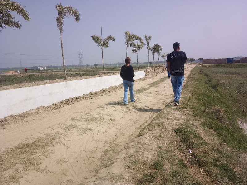  Residential Plot 1000 Sq.ft. for Sale in Mohaddipur, Gorakhpur