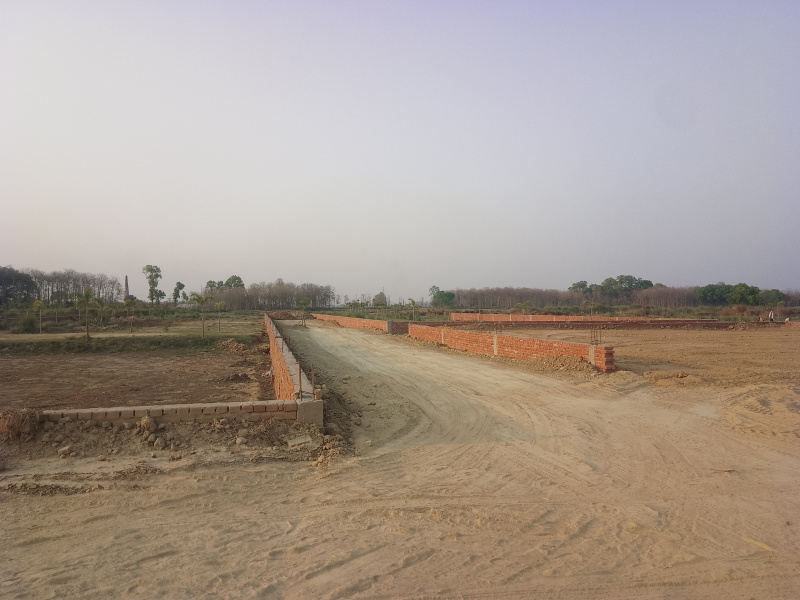  Residential Plot 1000 Sq.ft. for Sale in Kusumhi Bazar, Gorakhpur