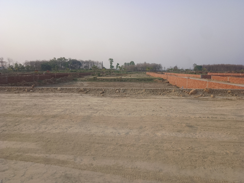  Residential Plot 1500 Sq.ft. for Sale in Kusumhi Bazar, Gorakhpur