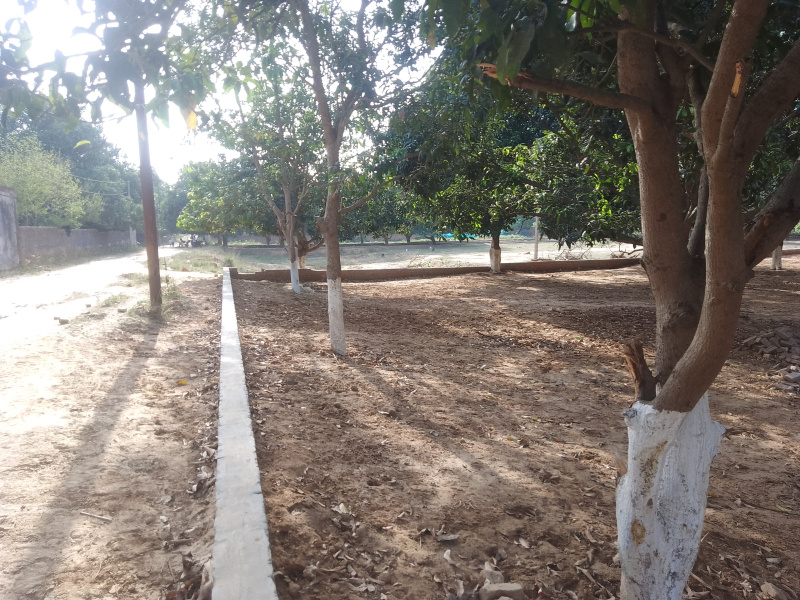 Residential Plot 1000 Sq.ft. for Sale in Nanda Nagar, Gorakhpur