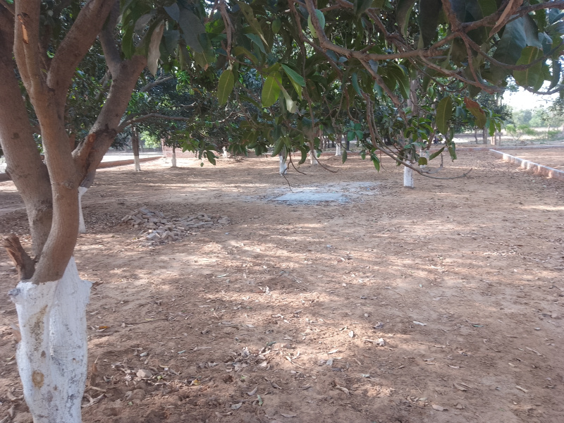  Residential Plot 1000 Sq.ft. for Sale in Nanda Nagar, Gorakhpur
