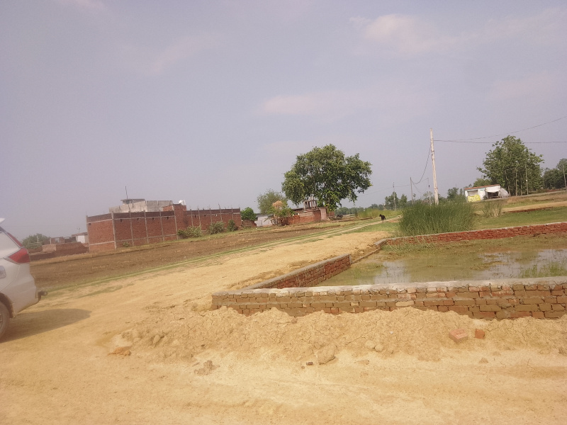  Residential Plot 1000 Sq.ft. for Sale in Tal Kandala, Gorakhpur