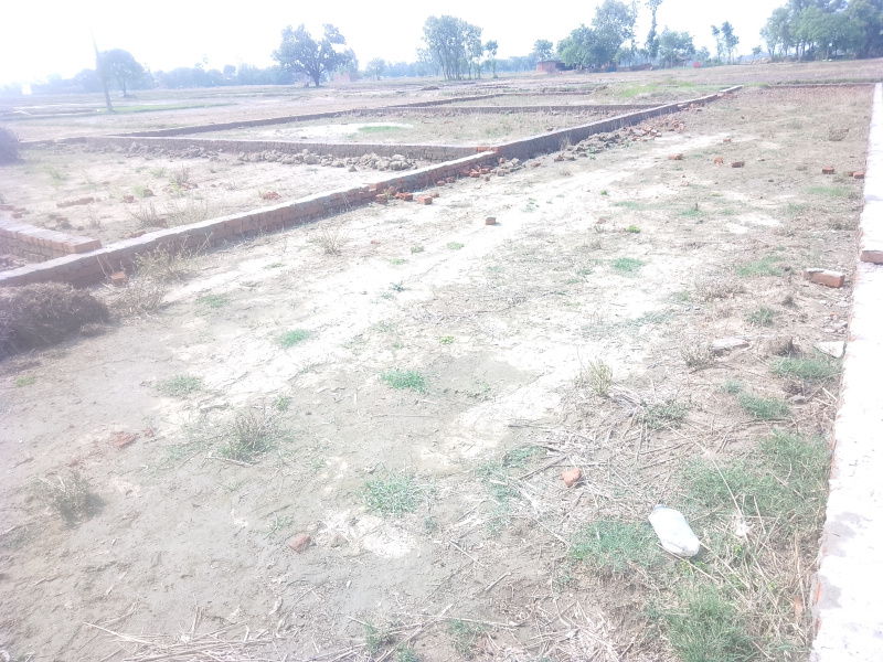  Residential Plot 1000 Sq.ft. for Sale in Tal Kandala, Gorakhpur