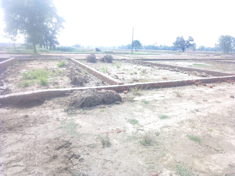  Residential Plot 1000 Sq.ft. for Sale in Tal Kandala, Gorakhpur