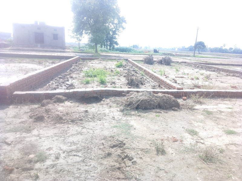  Residential Plot 1000 Sq.ft. for Sale in Maniram, Gorakhpur