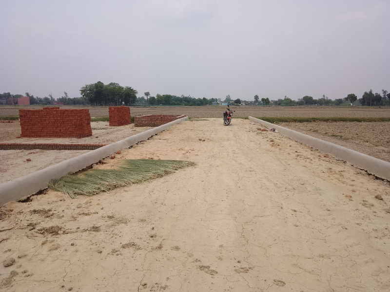  Residential Plot 1500 Sq.ft. for Sale in Tal Kandala, Gorakhpur