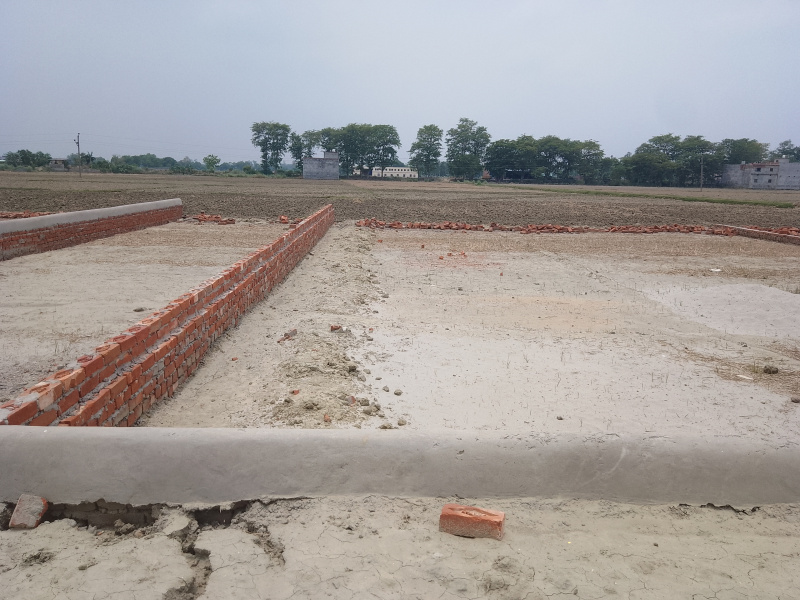  Residential Plot 1500 Sq.ft. for Sale in Tal Kandala, Gorakhpur